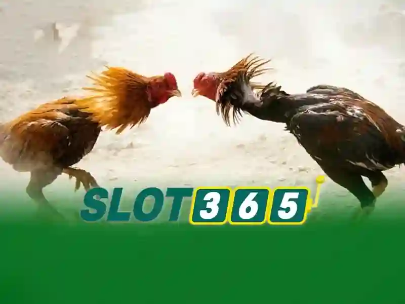 slot365-intro