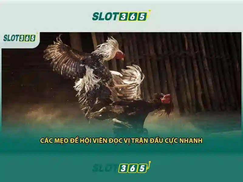 Slot365 là gì và tại sao nó thu hút người chơi