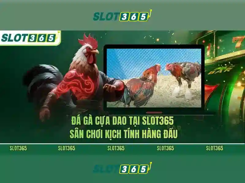 Slot365 - Nền tảng trò chơi trực tuyến đáng tin cậy tại Việt Nam