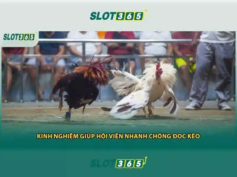Slot365: Giới thiệu nền tảng slot trực tuyến