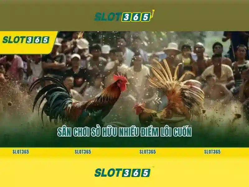 Slot365: Tổng quan về nền tảng slot trực tuyến phổ biến