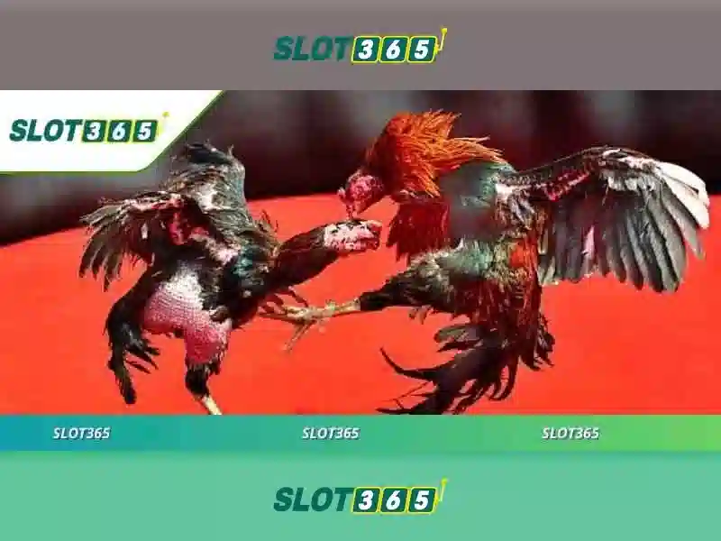 Slot365: Nền tảng casino trực tuyến và máy slot hàng đầu