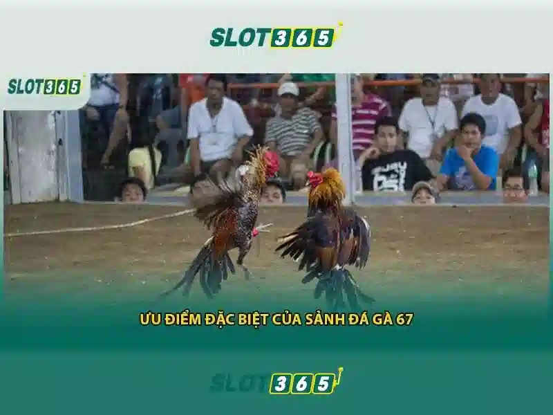 slot365 xx vip – Trải nghiệm đỉnh cao với rút thưởng Slot365