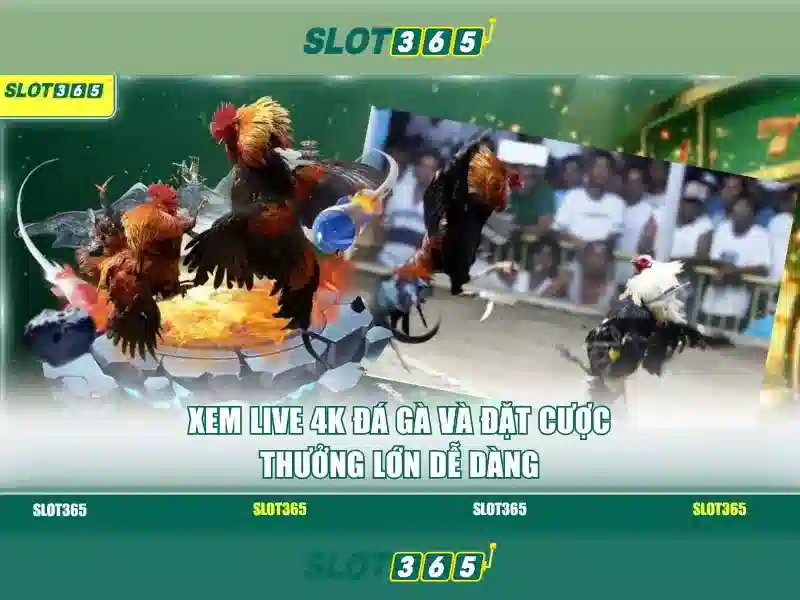 Slot365: Tong quan ve nen tang choi online va cac tinh nang