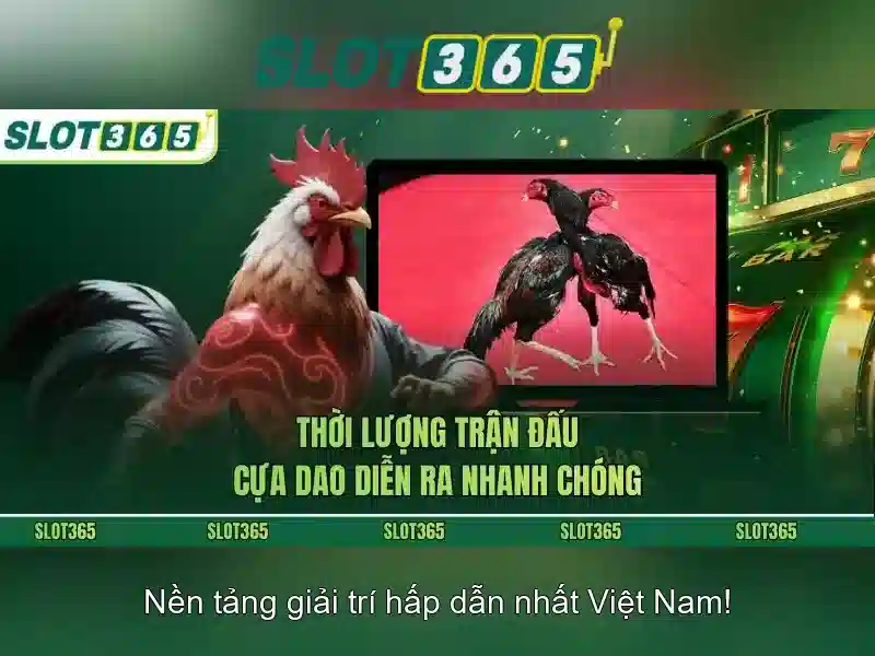 Slot365 – Sàn chơi slot trực tuyến uy tín và giải trí