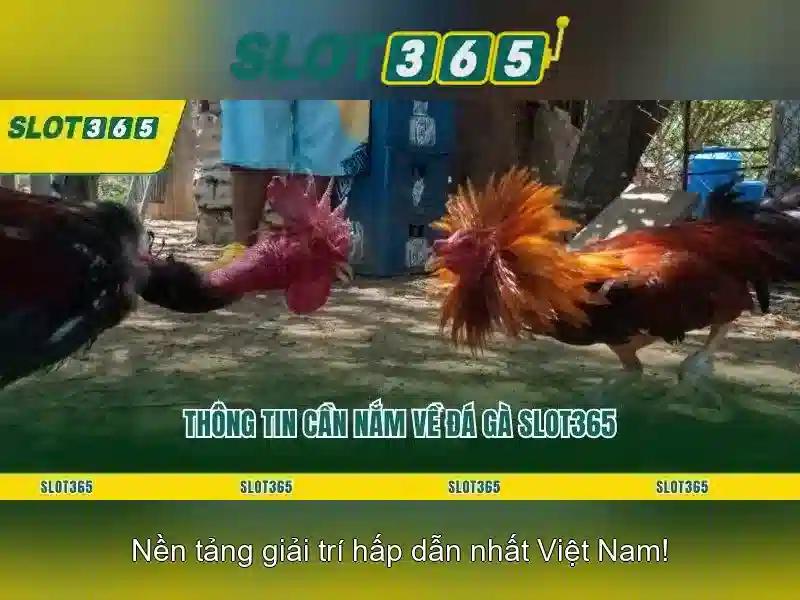 slot365 login link – Khám phá đường dẫn đăng nhập an toàn