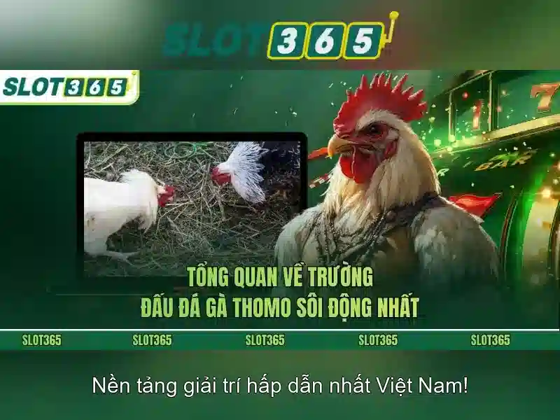 Slot365 - Trải nghiệm casino trực tuyến đỉnh cao