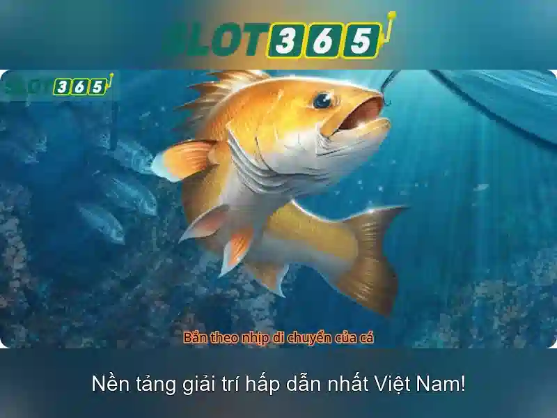 Slot365: Tổng quan về nền tảng cược trực tuyến