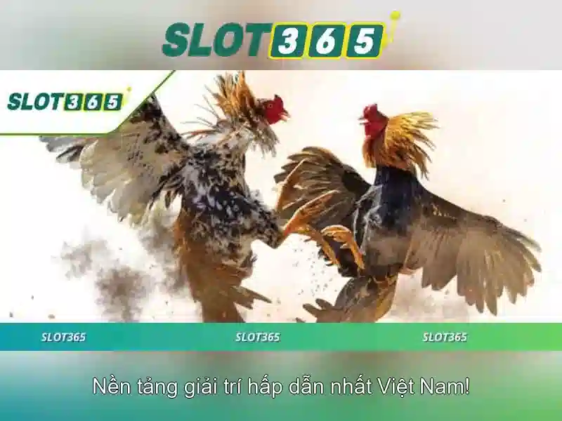 Slot365: Khám phá thế giới trò chơi slot trực tuyến