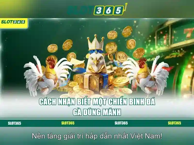 Slot365: Trải nghiệm slot trực tuyến đáng tin cậy