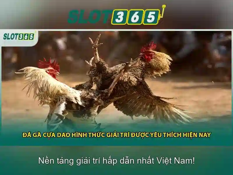 Slot365 – nền tảng slot trực tuyến