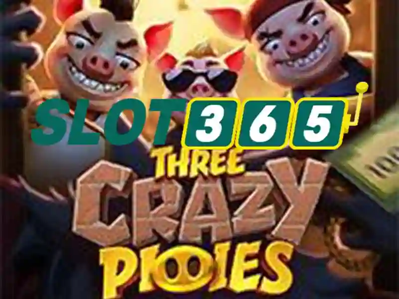 Slot365 - Nền tảng chơi slot và casino trực tuyến